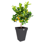 loft urban eckig hoch 37cm anthrazit